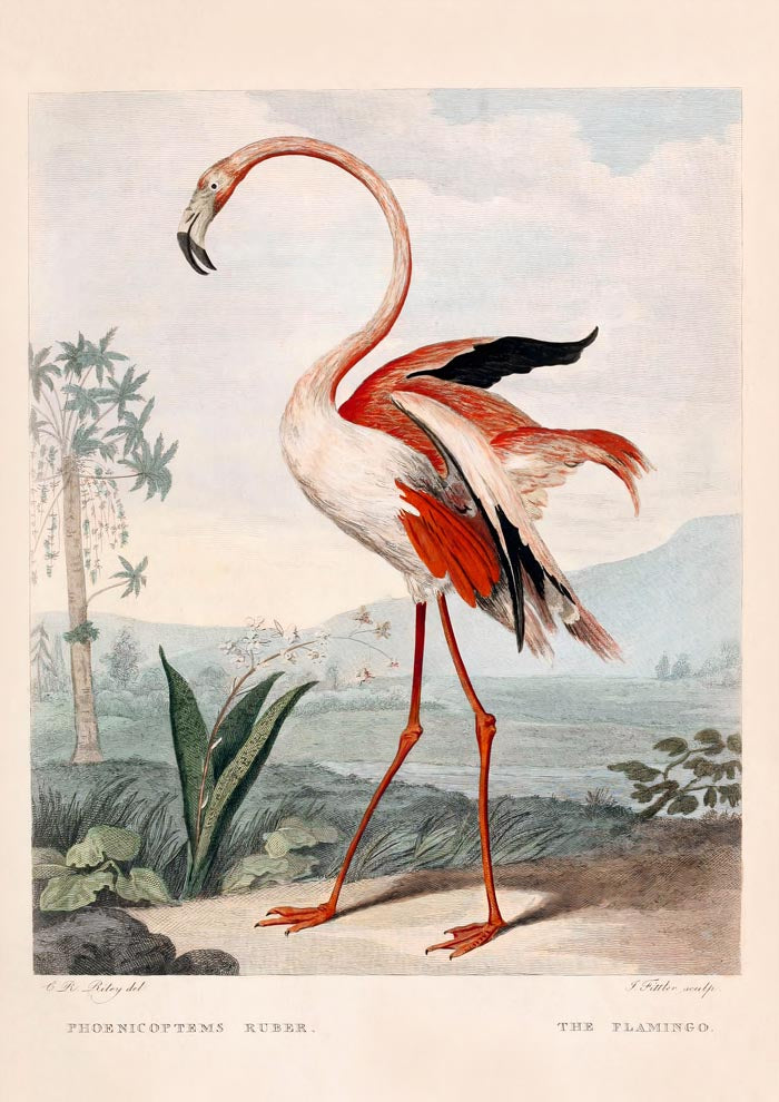 Pink Flamingo Vintage Poster – Archival-Kunstdruck aus Berlin — Ansicht 3