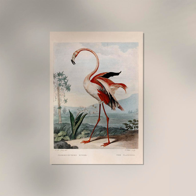 Pink Flamingo Vintage Poster – Archival-Kunstdruck aus Berlin — Ansicht 2