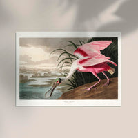 Roseate Spoonbill Vintage Poster – Handgedruckt Berlin — Ansicht 2