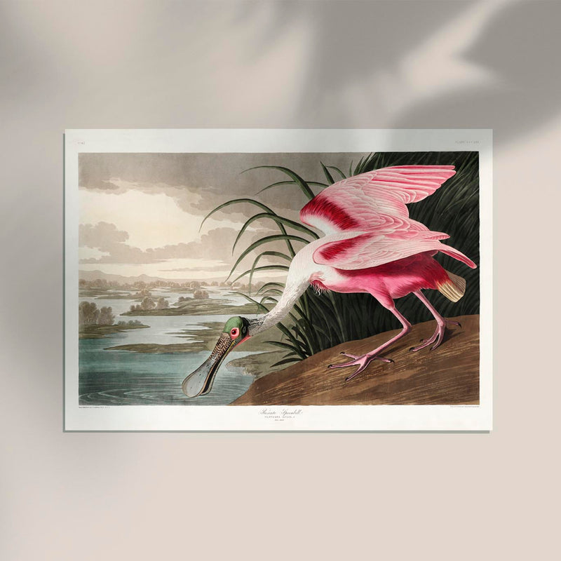 Roseate Spoonbill Vintage Poster – Handgedruckt Berlin — Ansicht 2