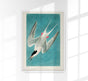 Roseate Tern Vintage Poster – Kunstdruck Berlin