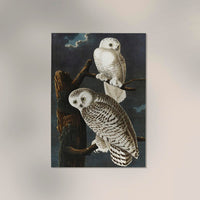 Snowy Owls Vintage Poster – Kunstdruck Eule Winter — Ansicht 2