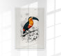 Toucan du Para Tropical Bird Poster – UV-resistente Kunstdrucke