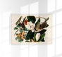 Black-billed Cuckoo from Birds of America Poster – Handgedruckt Berlin