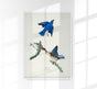 Blue Birds from Birds of America Poster – Patroa Studio Berlin