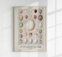 Eggs Collection III Poster – Chromolithograph Bird Illustrations