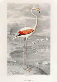 Le Flammant by Edouard Travies Poster – Archival Print Berlin — Ansicht 3