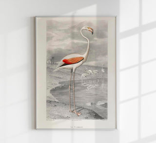 Le Flammant by Edouard Travies Poster – Archivdruck Berlin
