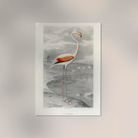 Le Flammant by Edouard Travies Poster – Archival Print Berlin — Ansicht 2