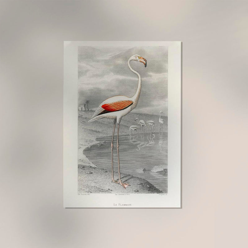 Le Flammant by Edouard Travies Poster – Archival Print Berlin — Ansicht 2