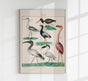 Vögel XI – Kunstdruck Collage mit Vögeln, Lithografie-Stil