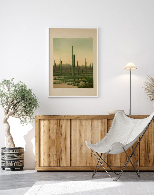 American Cactus Vintage Poster – Botanische Illustration | Patroa Studio