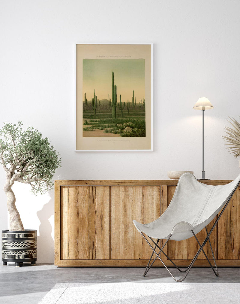American Cactus Vintage Poster – Botanische Illustration | Patroa Studio — Ansicht 2