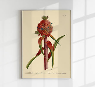 Red Ananas Poster – Fine Art Print | Modernes Design | Atelierdruck Berlin