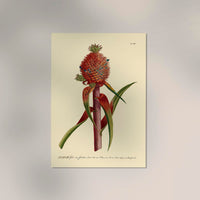 Red Ananas Poster – Fine Art Print Atelierdruck Berlin — Ansicht 2