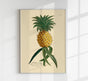 Pineapple - Botanical Poster | Fine Plant Illustration | UV Resistant