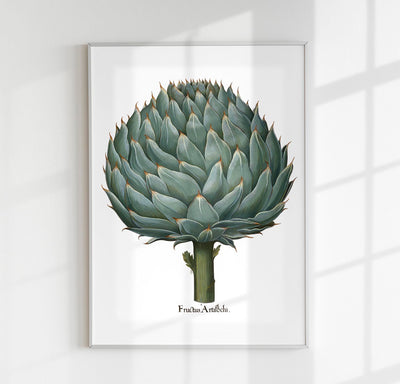 Artichoke White Art Print – Botanical | Timeless Design | Patroa Studio
