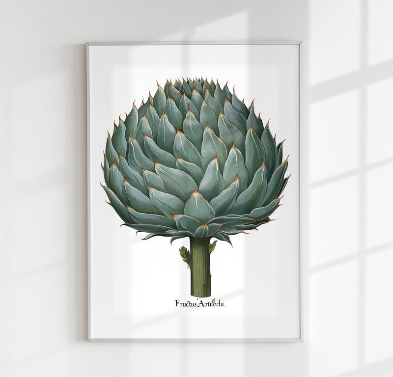 Artichoke White Art Print – Botanical | Timeless Design | Patroa Studio — Patroa Studio