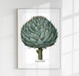 Artichoke White Art Print – Botanical | Timeless Design | Patroa Studio