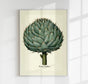 Artichoke Beige Poster | Culinary Illustration | Handmade Berlin
