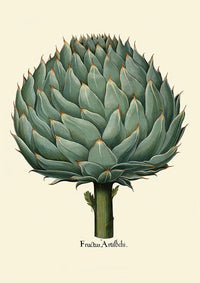 Artichoke Beige Poster | Culinary Illustration | Handmade Berlin — Ansicht 3