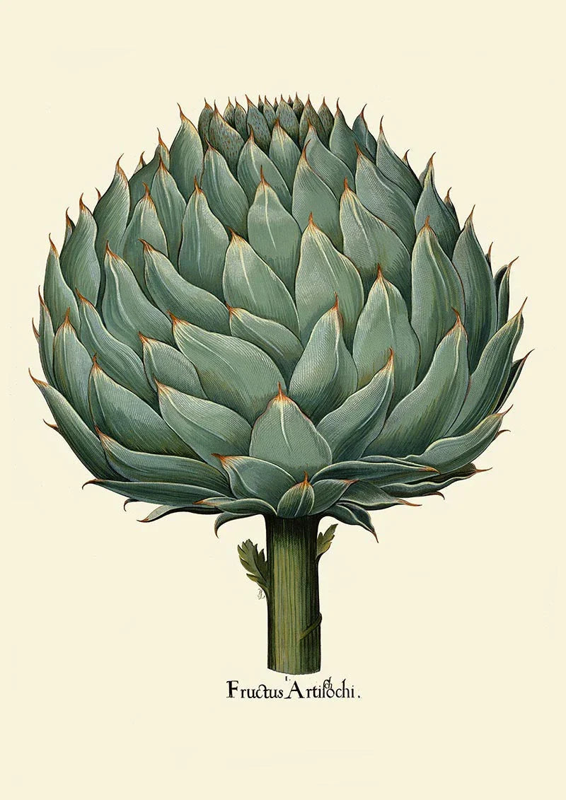 Artichoke Beige Poster | Culinary Illustration | Handmade Berlin — Ansicht 3