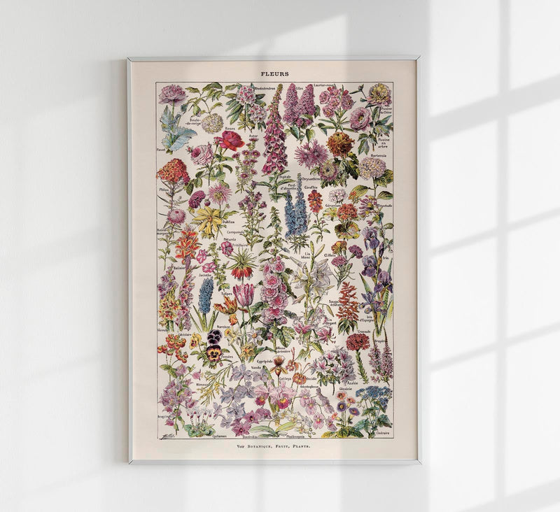 Fleur – Vintage Blüten-Poster von Adolphe Millot, Kunstdruck — Patroa Studio