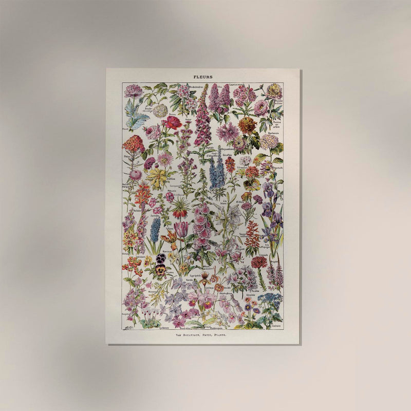 Fleur – Vintage Blüten-Poster von Adolphe Millot, Kunstdruck — Ansicht 3