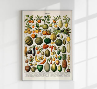 Fruits And Legumes Antique Chart by Adolphe Millot Poster – historisches Obst-&-Gemüse-Chart als Fine Art Wandkunst für Küche, Essbereich, Feinkostladen oder Galerie-Wall im klassischen Naturkunde-Tafel-Stil
