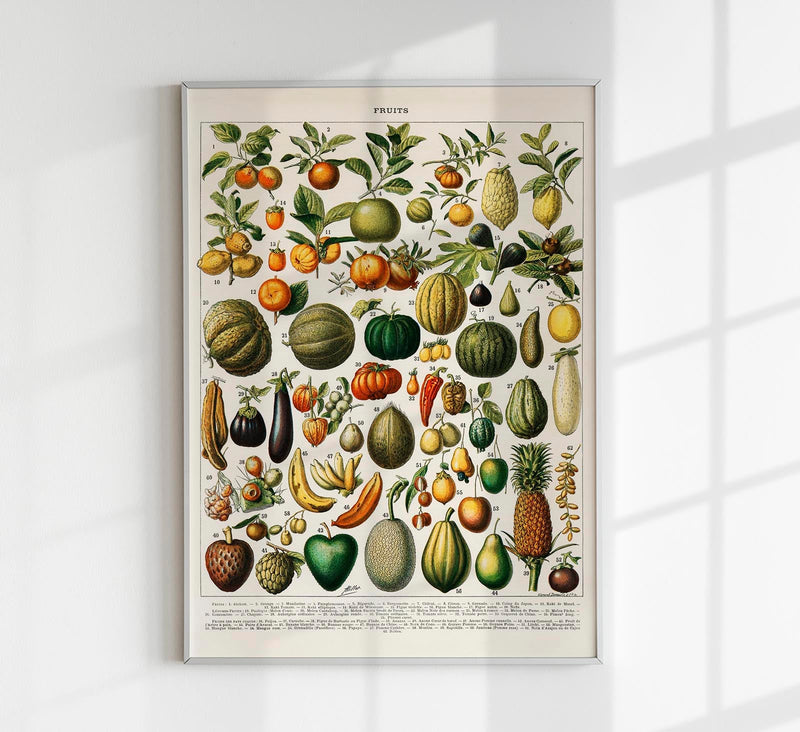 Fruits And Legumes Antique Chart by Adolphe Millot Poster – Vintage Fruits & Vegetables Fine Art Print — Patroa Studio