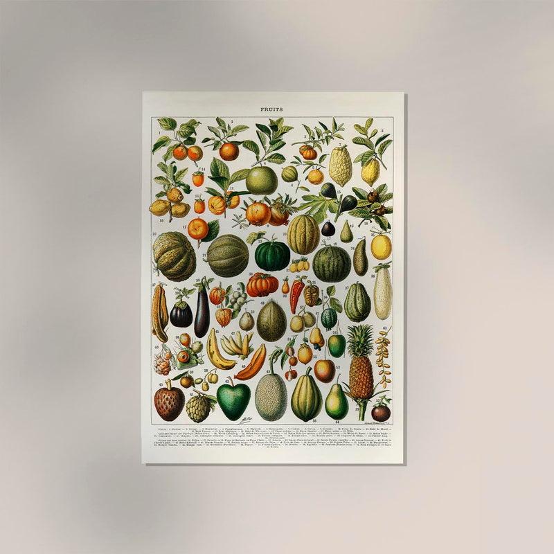 Fruits And Legumes Antique Chart by Adolphe Millot Poster – Vintage Fruits & Vegetables Fine Art Print — Ansicht 2