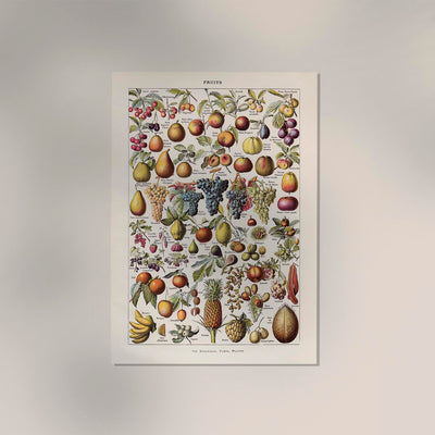 Vintage Fruits Chart by Adolphe Millot – Fine Art Print UV-resistant Made in Berlin