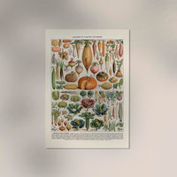 Légumes et Plantes Potagères Poster – Gemüse Botanisch Fine Art Canvas — Ansicht 3