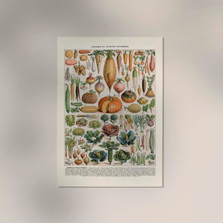Légumes et Plantes Potagères Poster – Gemüse | Botanisch | Fine Art Canvas