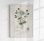 Didiscus Plant Poster – Fine Art Print Botanische Blütenillustration