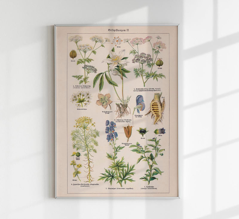 Poisonous and Toxic Plants II – Kunstdruck Chromolithograph — Patroa Studio