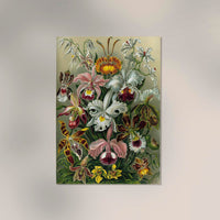 Orchideae Lilly Flowers by Ernst Haeckel Poster – Fine Art Print UV-resistent — Ansicht 2