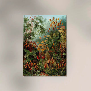 Mushroom Forest Botanical by Ernst Haeckel Poster | Nature meets science | Handmade in Berlin