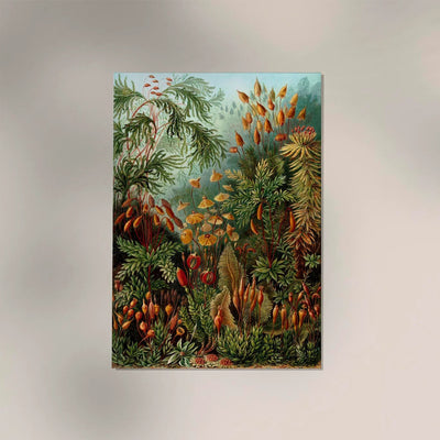 Mushroom Forest Botanical Poster by Ernst Haeckel – Handmade in Berlin