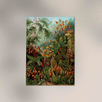 Mushroom Forest Botanical Poster von Ernst Haeckel – Handgefertigt in Berlin — Ansicht 3