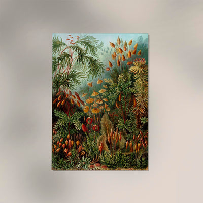 Mushroom Forest Botanical Poster von Ernst Haeckel – Handgefertigt in Berlin