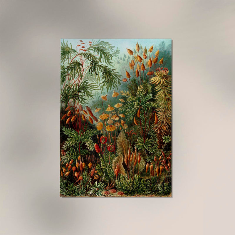 Mushroom Forest Botanical Poster von Ernst Haeckel – Handgefertigt in Berlin — Ansicht 3