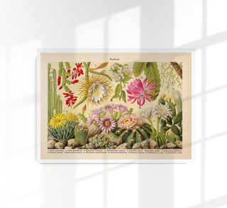Botanische Illustration mehrerer Kakteenarten in einer stilisierten Wüstenlandschaft, verschiedene Formen und Höhen auf hellem Hintergrund, in dezenten Grün- und Sandtönen als Fine-Art-Poster gerahmt in einem hellen Raum mit Pflanzen und natürlichen Materialien

