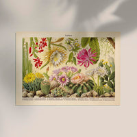Kakteen Landscape Cactus Poster – Fine Art Canvas Botanische Wüstenlandschaft — Ansicht 2