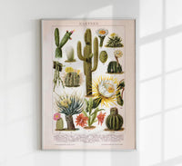 Cactus Collage Brockhaus – Vintage Botanical Art Print Handmade Berlin — Ansicht 1