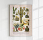 Cactus Collage Brockhaus – Vintage Botanical Art Print Handmade Berlin