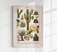 Cactus Collage Brockhaus – Vintage Botanischer Kunstdruck handgefertigt Berlin — Ansicht 1