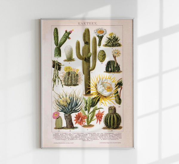 Cactus Collage Brockhaus – Vintage Botanischer Kunstdruck handgefertigt Berlin