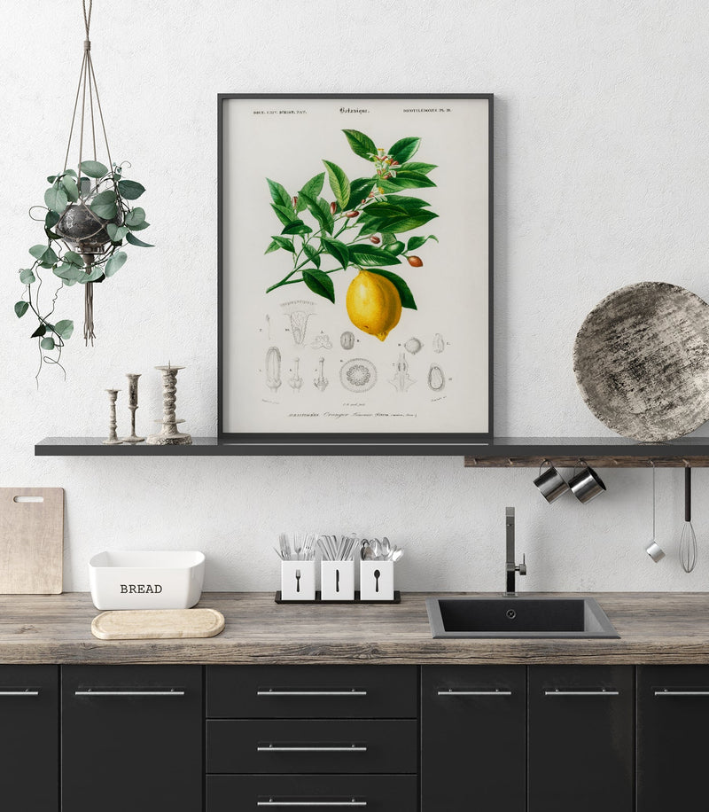 Vintage Lemon Fruit Poster – Fine Art Print Küchenkunst — Ansicht 2