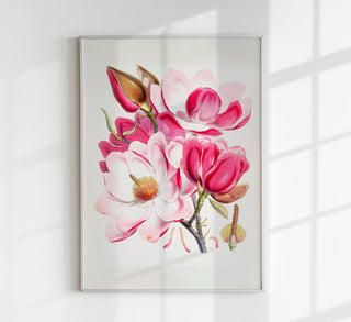 Pink Magnolia Flower Poster – Fine Art Paper | Canvas | UV‑archivfest
